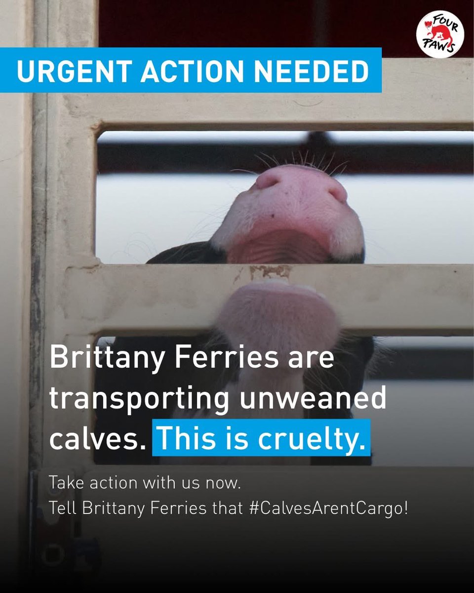 Emma Bailey MBA MSc CIWFM MRICS tweet media