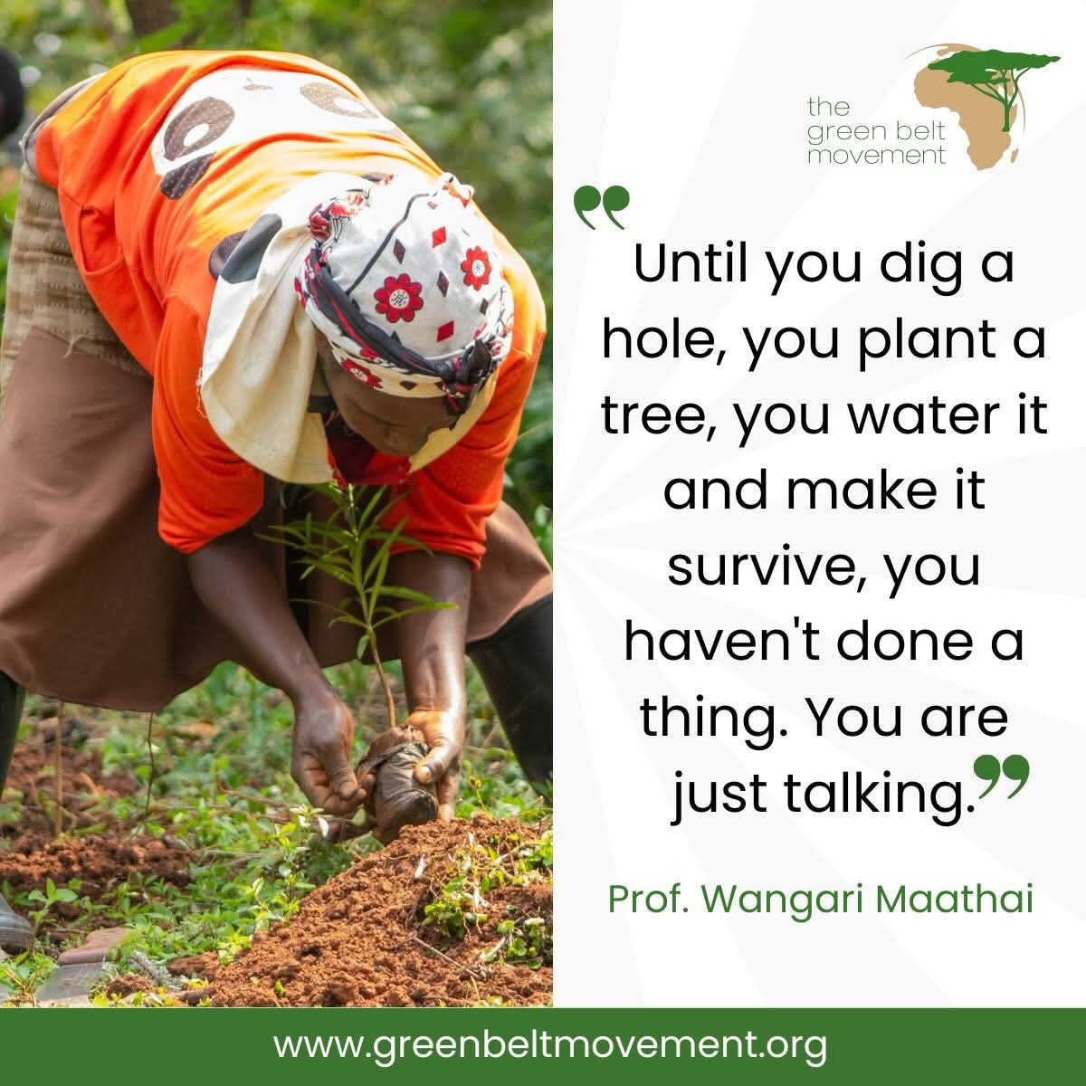 sean_shirly's tweet photo. Let's plant &amp; grow tree's #Environmentalsustainability #Environmentalconservation #Mitiniuhai @KeForestService @Environment_Ke https://t.co/mYloeqRFnW