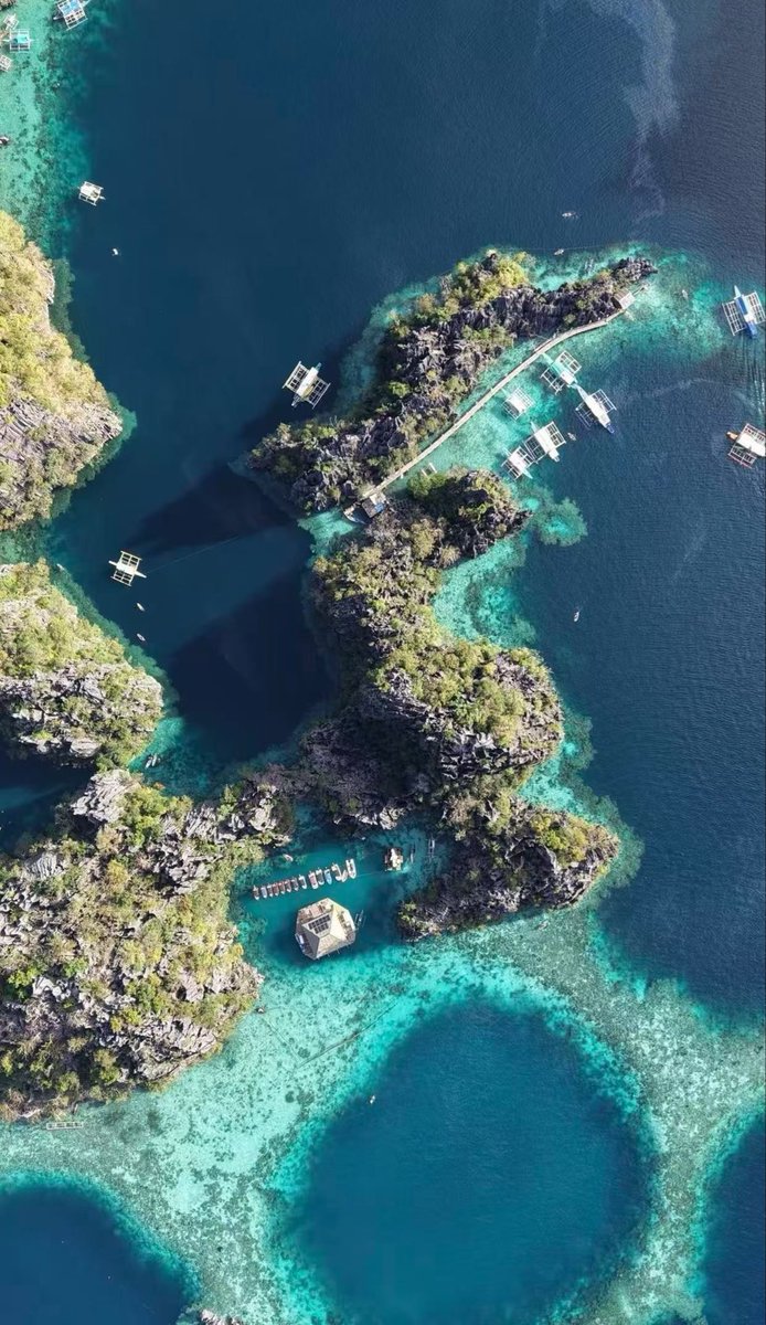 nonno917 tweet media