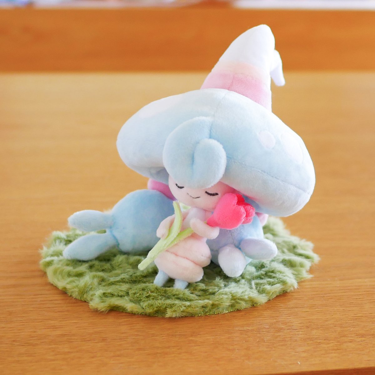 見てくださってありがとうございました🌷