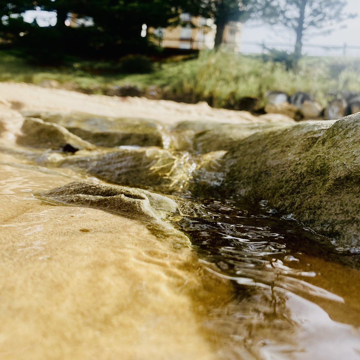 Unhinged Ranger tweet media