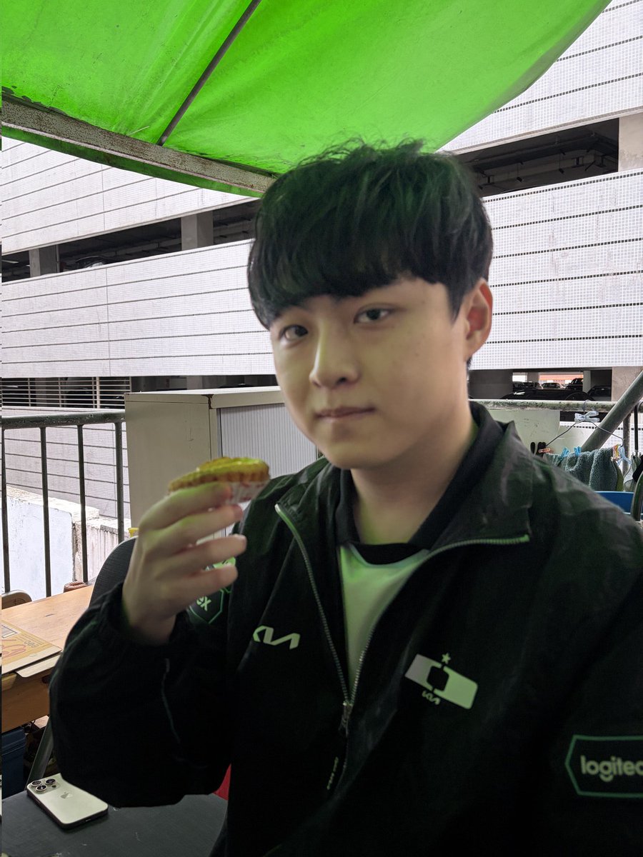 도리 tweet media
