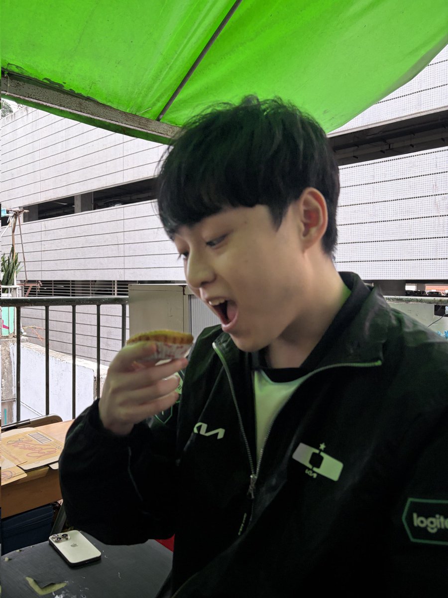 도리 tweet media
