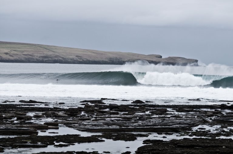 Roger Cox tweet media