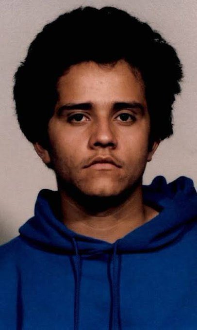 Brillo 101 tweet media