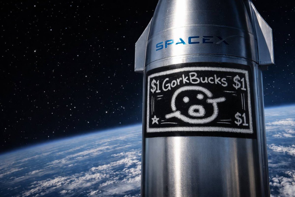 lunchmoney_69's tweet photo. $GorkBucks 🚀 https://t.co/aH4TWyLppg