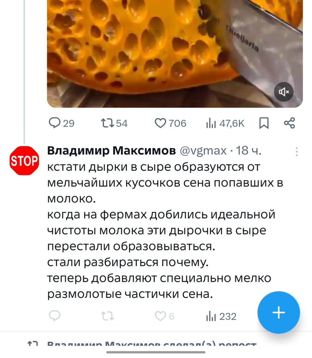 white_fairy tweet media