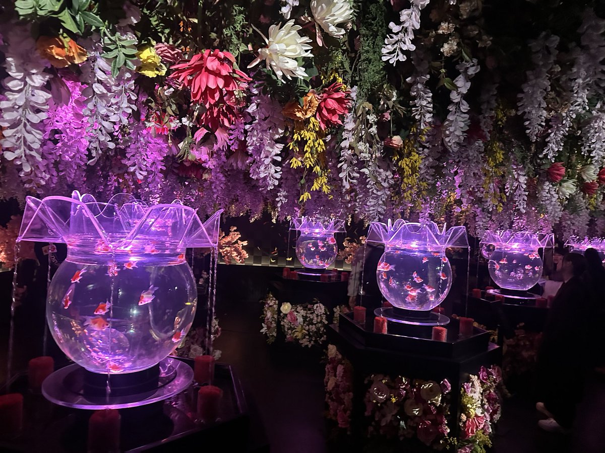 EricWasserman1's tweet photo. #GalaxyS26Ultra #先回りするAIフォン #アートアクアリウム
Fun day at the Art Aquarium in Tokyo. https://t.co/qfpqB9gBvZ