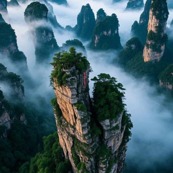 Hunan Times tweet media