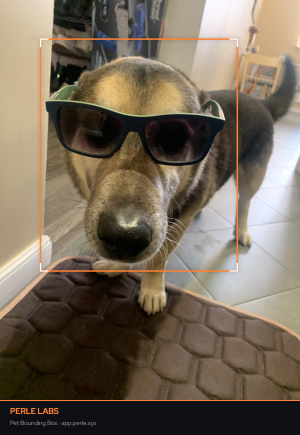 pelicana.eth tweet media