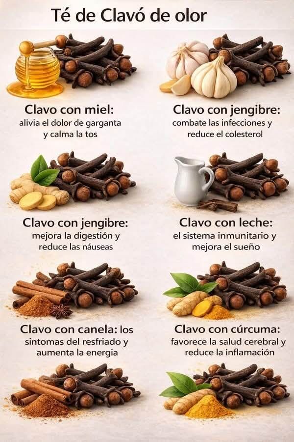 El secreto de este aceite reside en otra especia.

Este es uno de los alimentos vegetales más potentes que puedes encontrar en tu cocina.

Y casi nadie sabe por qué.
Me encanta combinarlo en mis infusiones con otras especias para aprovechar todas sus propiedades 👇