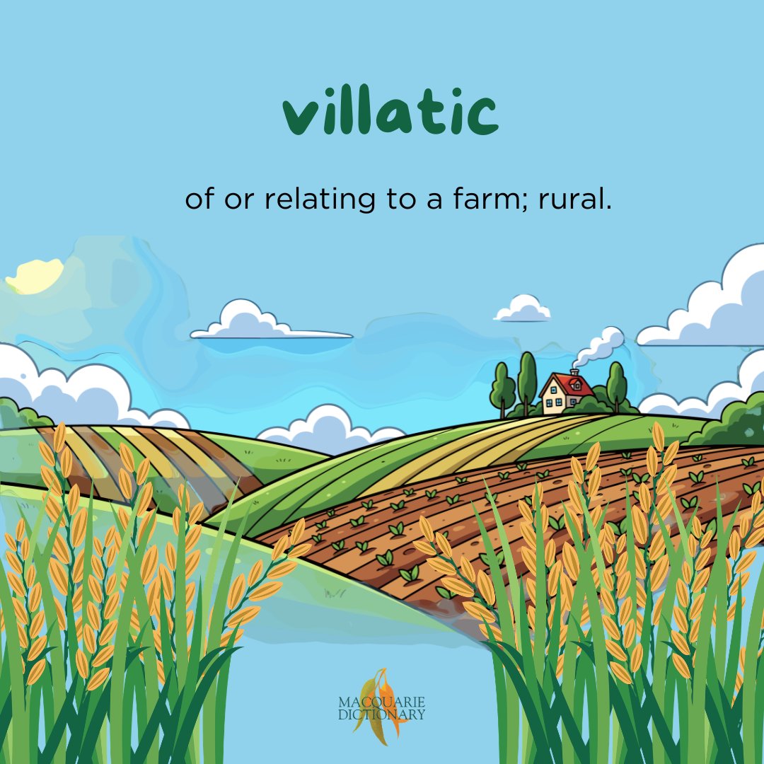 Macquarie Dictionary tweet media