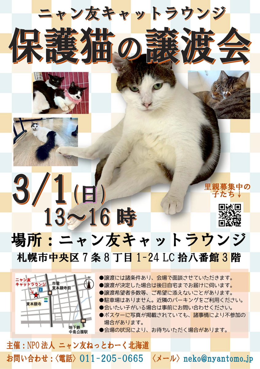 NPO法人 ニャン友ねっとわーく 北海道 (@nyantomo_net) / Posts / X