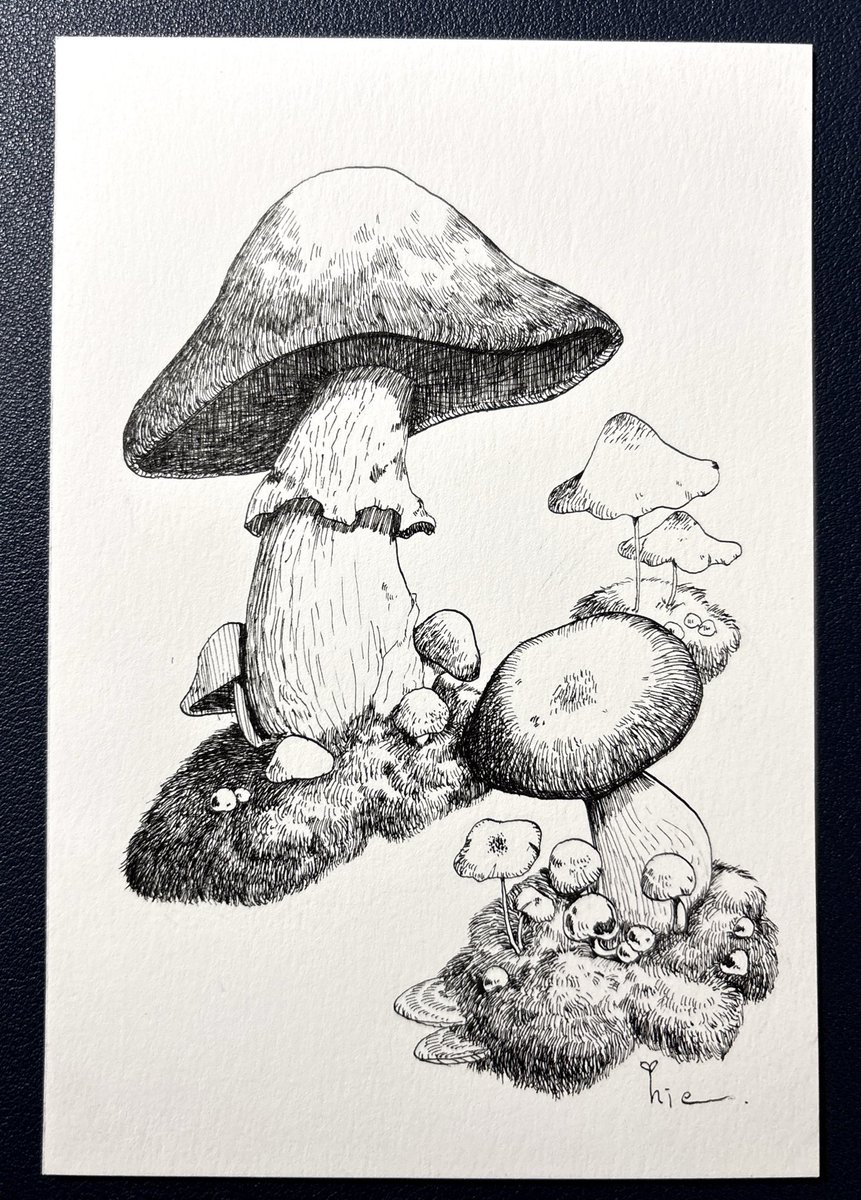 気付いたら別の描いてた🤤

 #ペン画 #アナログ #きのこ