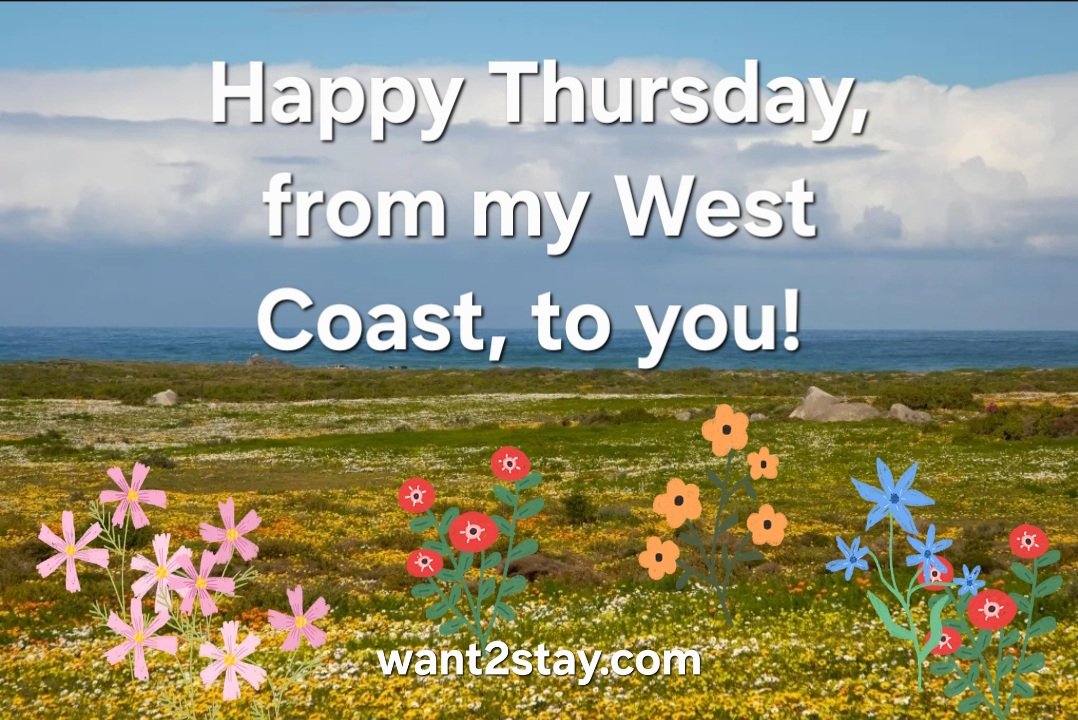 Good morning Thursday and friends.