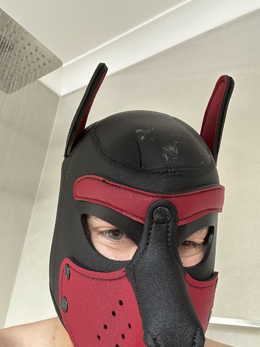 thatflipboy's tweet photo. How the fuck did I get gum on my hood #puppyplay #kink https://t.co/CCj8eutBYa