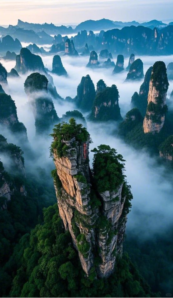 This is Hunan tweet media