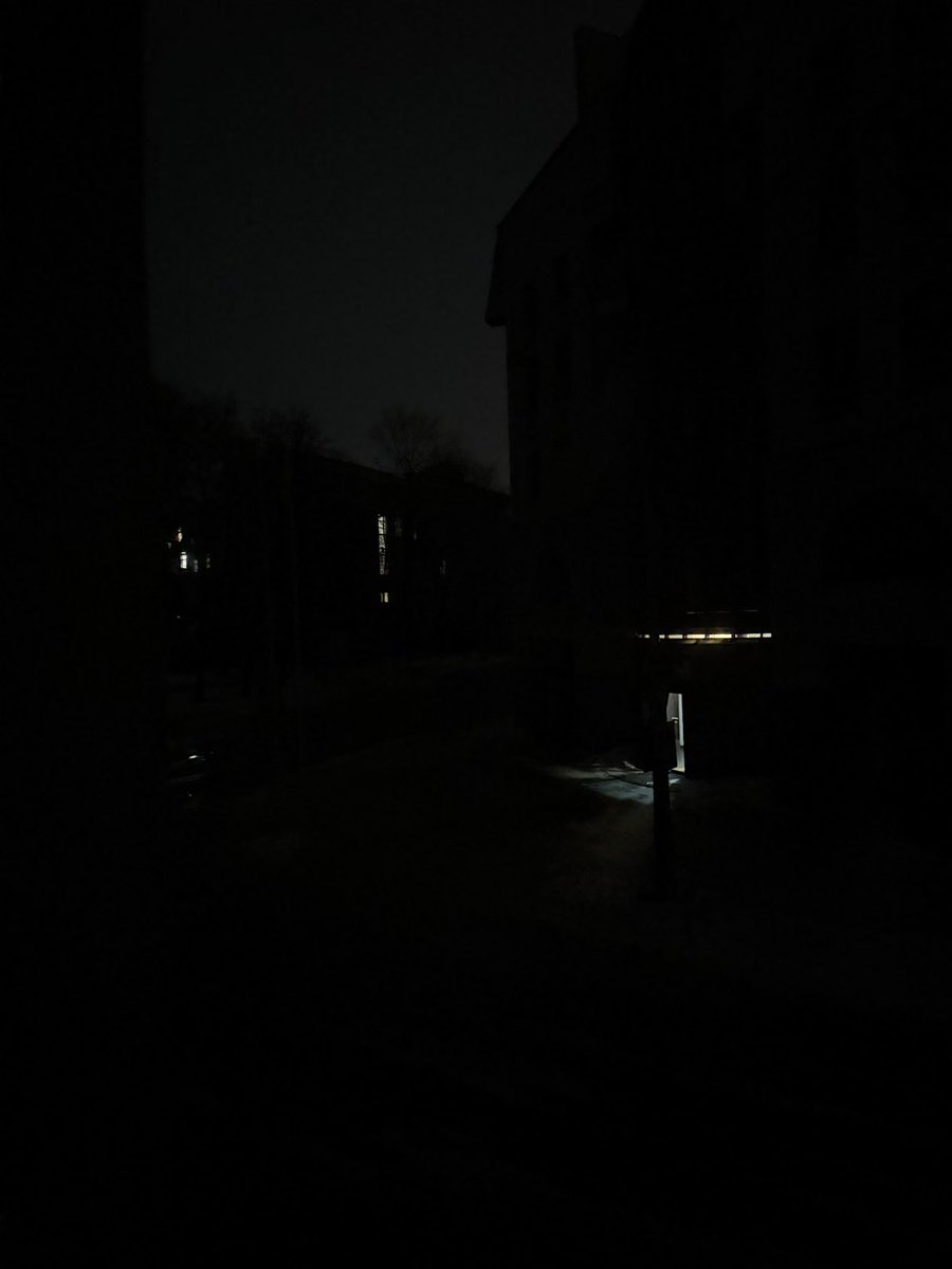 Michiel Driebergen tweet media