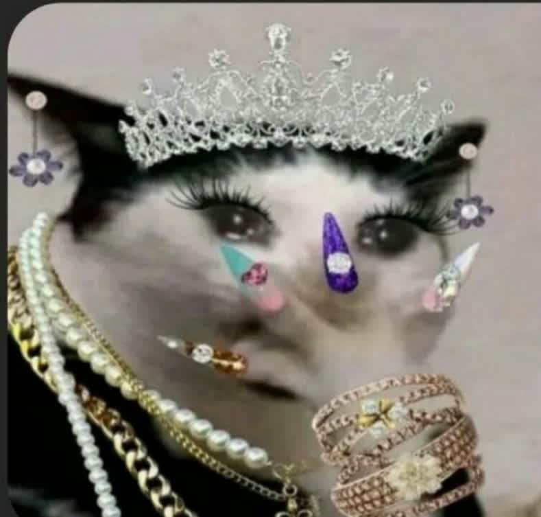 آنشرلی کاتبرت tweet media