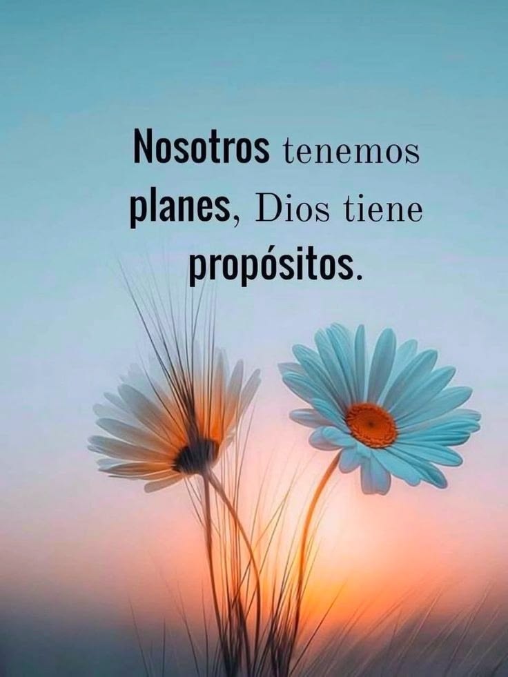 CitaPositiva's tweet photo. https://t.co/oJ2YEdtane