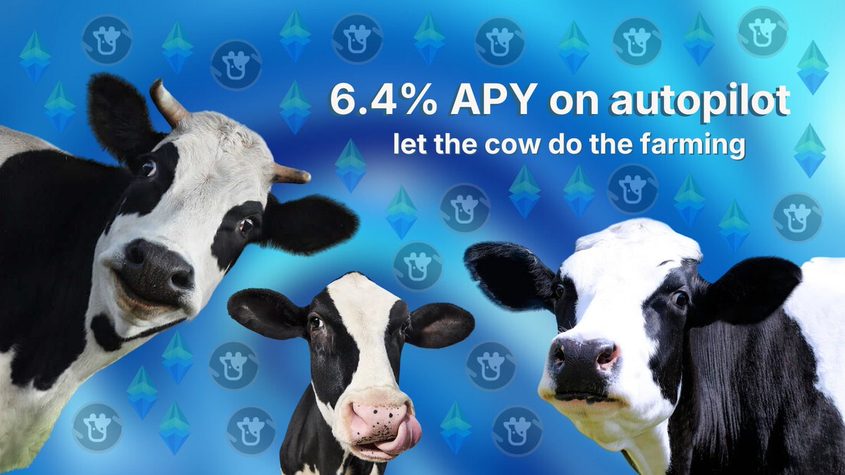 SquirrelBBG 🌳 tweet media