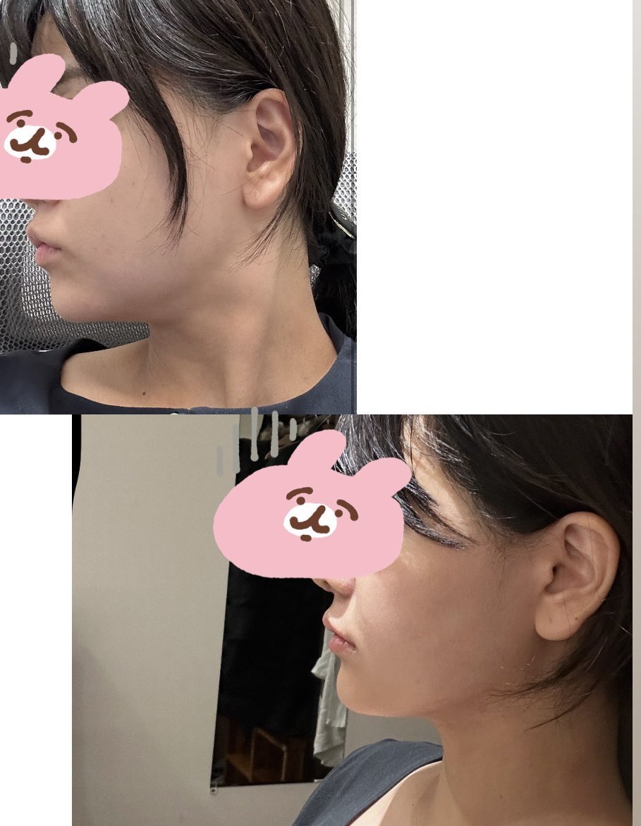 トリッピー🦜 tweet media