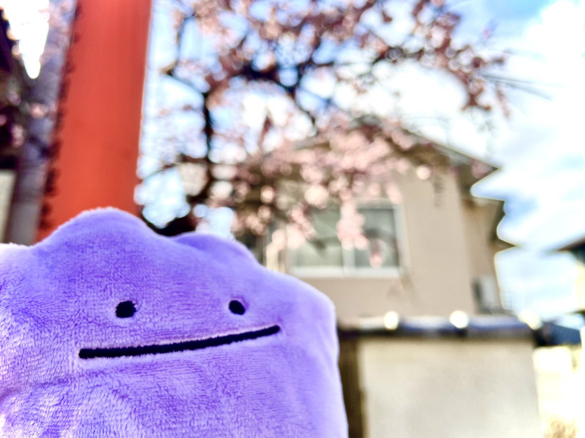 mao 🌸 | cms open tweet media