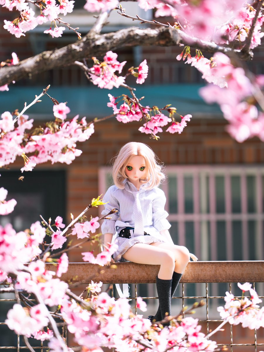 北極熊 tweet media