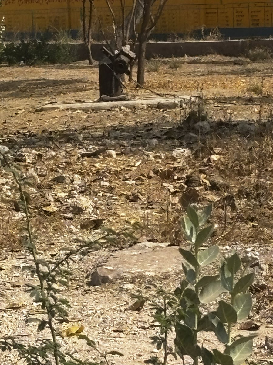 SRPuniya3's tweet photo. @RajCMO @PwdRajasthan @DMBIKANER जेगला ग्राम पंचायत का ट्यूबवेल नंबर 1 के ये हालत हैं गर्मी का मौसम आ रहा हैं जब @RajSampark पर अधिकारियों से शिकायत की तो बोले सभी ट्यूबवेल चालू है झूठी टिप्पणी करने वाले अधिकारी पर कार्यवाही करें और ट्यूबवेल चालू कराए @danikbhaskar @zeerajasthan https://t.co/ho1mnY5RYa
