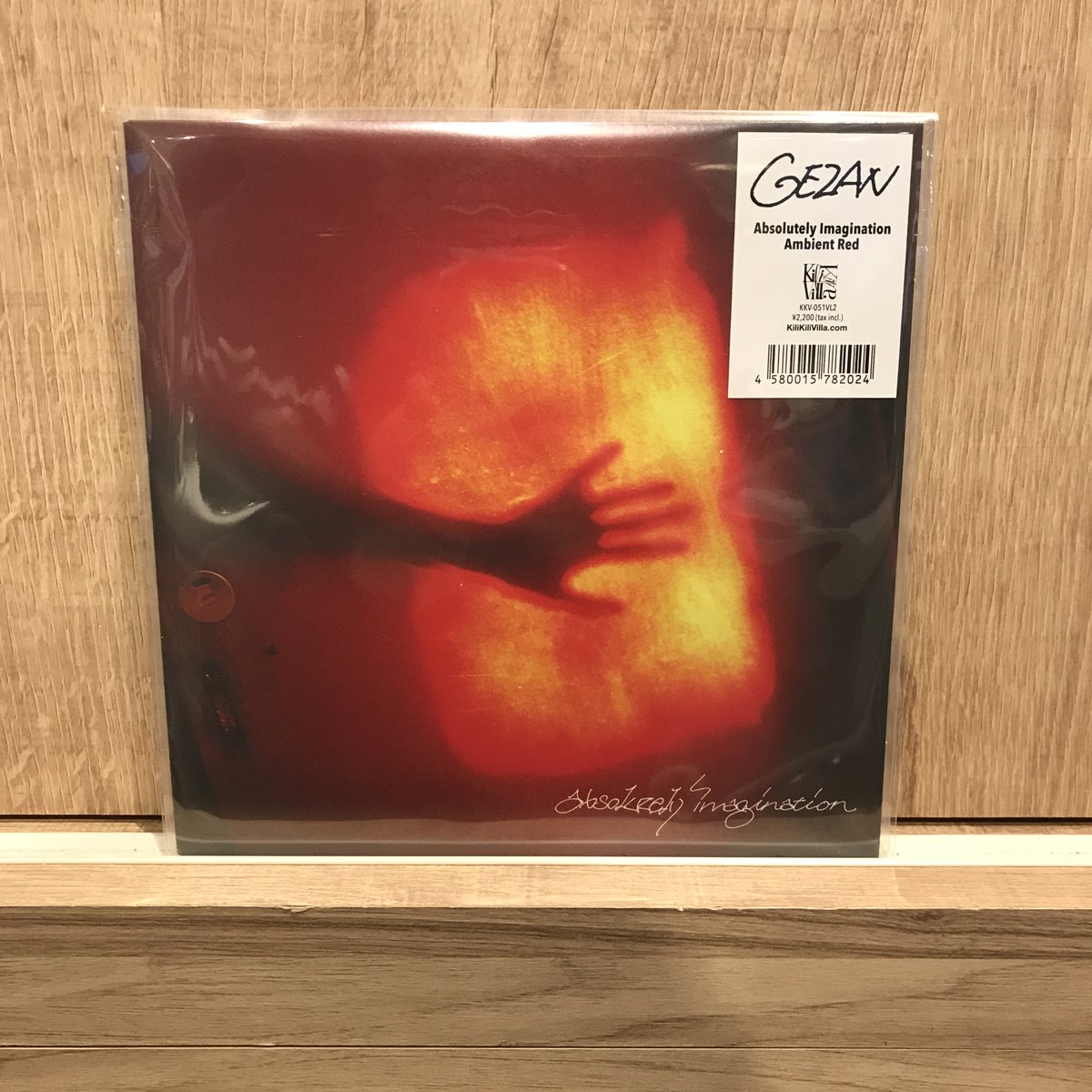 新譜入荷】 🔹GEZAN『Absolutely Imagination (2ndプレス )』 2017年に