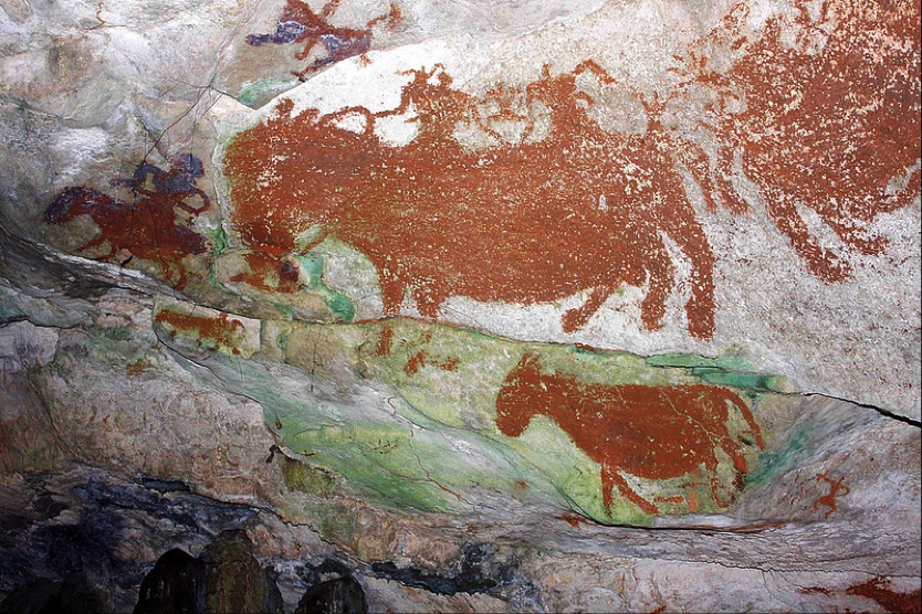 Mongabay Indonesia tweet media