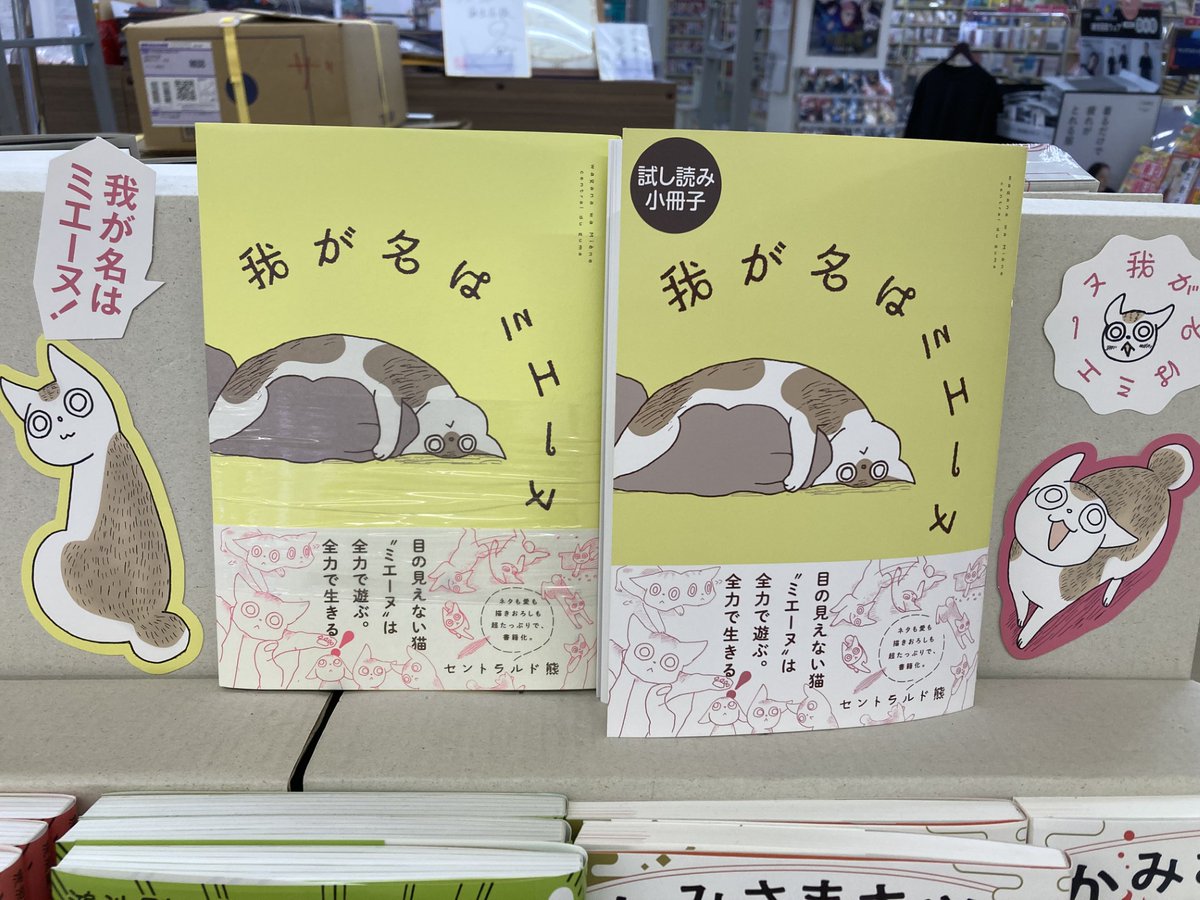 我が名はミエーヌ』発売中🔔書店陳列祭り #我が書店のミエーヌ 開催中
