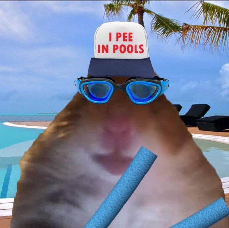 HAMIs Best Friend 🐹✨ tweet media