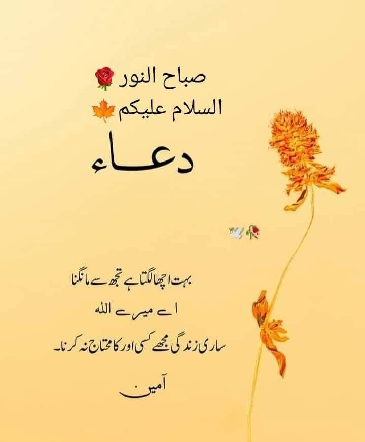 DREAM GIRL tweet media