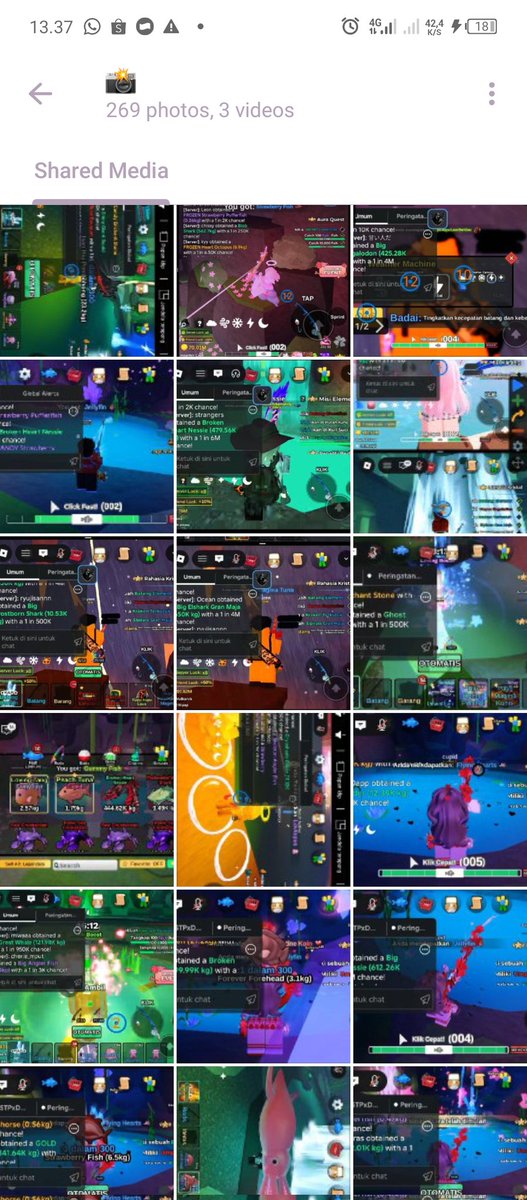 Mikara. 1500+ testi on tele tweet media