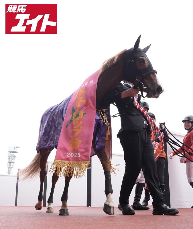 競馬エイト公式 (@keiba_eight) / Posts / X