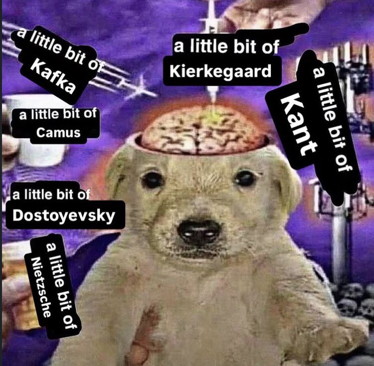 Philosophy memes 🥀 (@philosophymeme0) on Twitter photo 