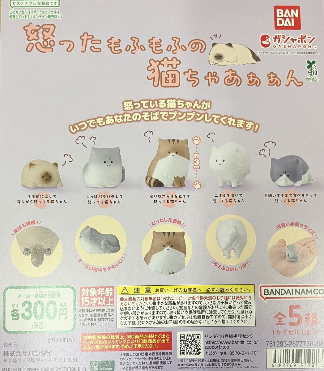 新商品入荷‼️ 怒ったもふもふの猫ちゃあああん怒っている猫ちゃんが