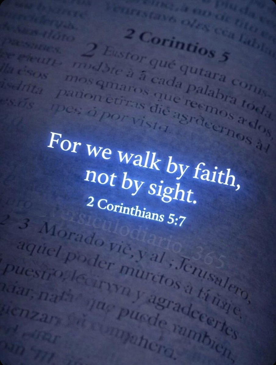Holy Bible tweet media