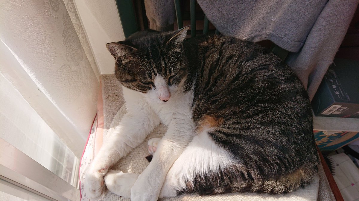 しごおわ🙆✨ 帰宅しました🏠🚗³₃🐸