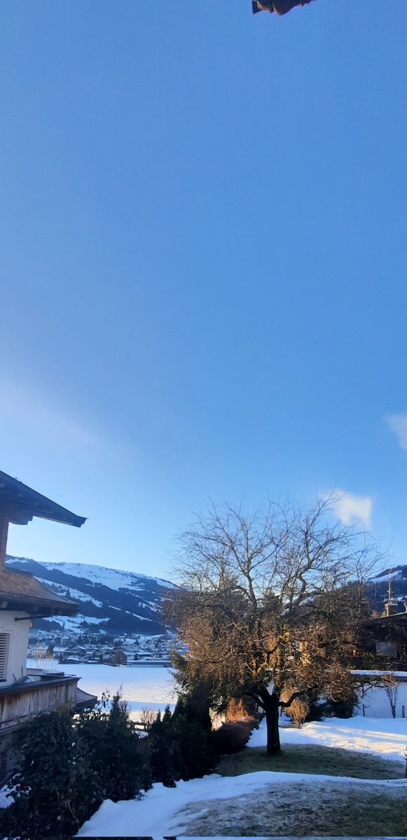 la luce dell'alba è morbida e pura, e conferisce al mondo un'autentica sensazione di sacralità 🌞🌞🌷
Buongiorno a bella gente 🌞🌷☕️