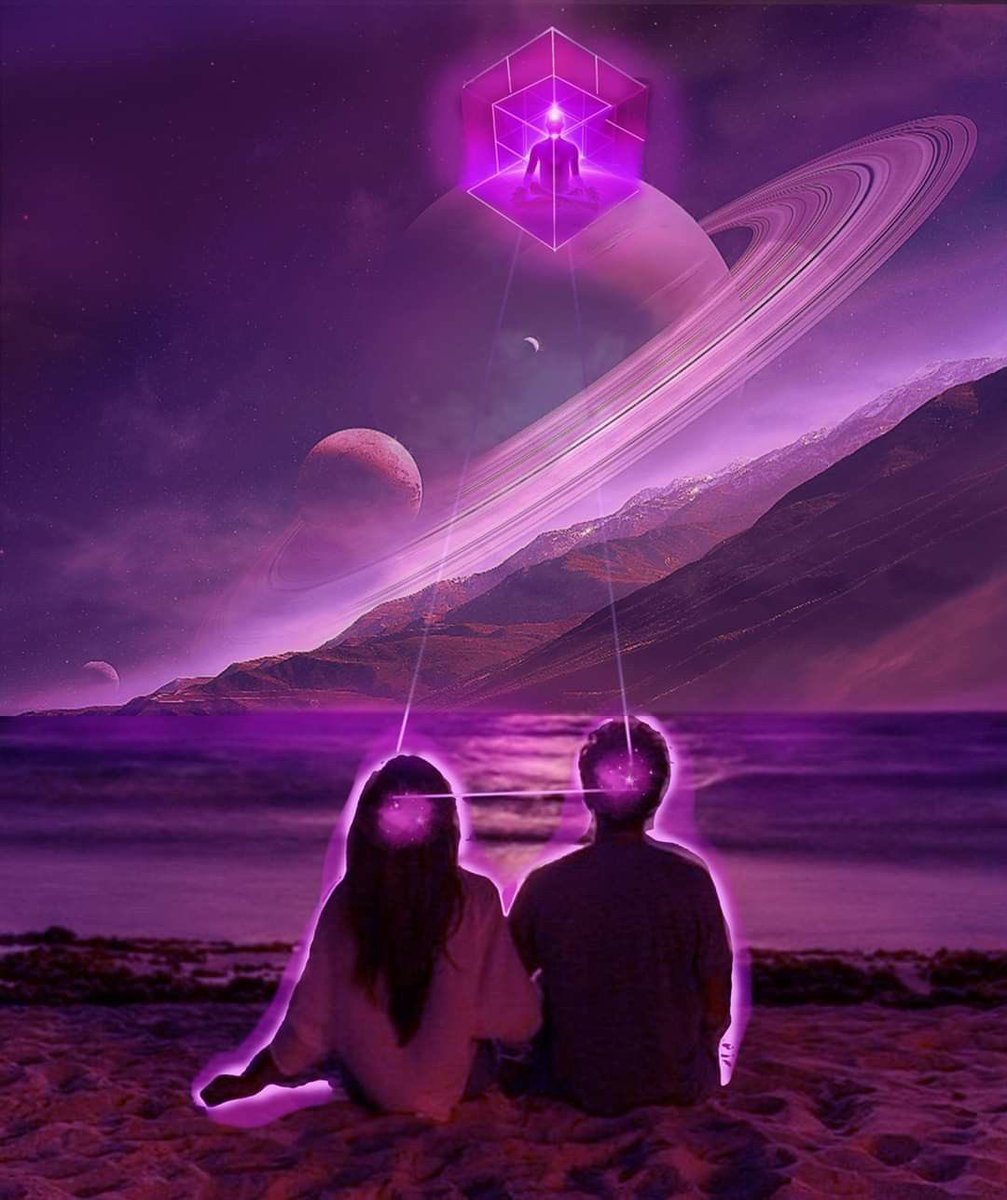 🧬Maxpein🧬 tweet media