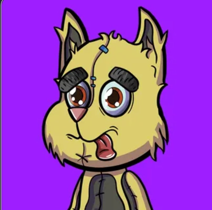 🐢MrTurtleLM tweet media