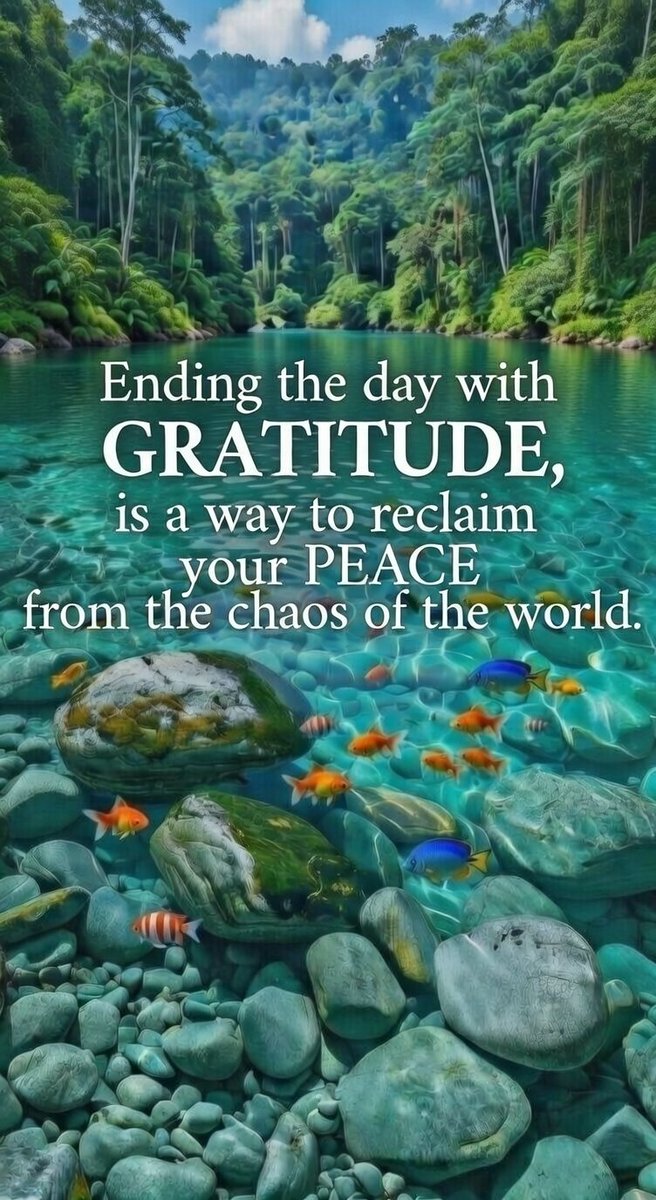 Gratitude! 🫶