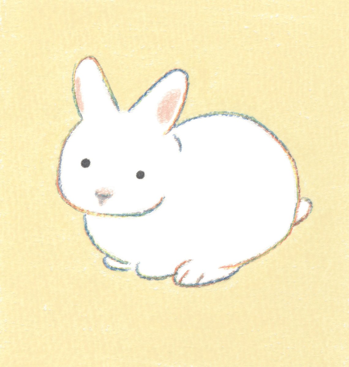 てらおかなつみ (@teraoka_natsumi) on Twitter photo 