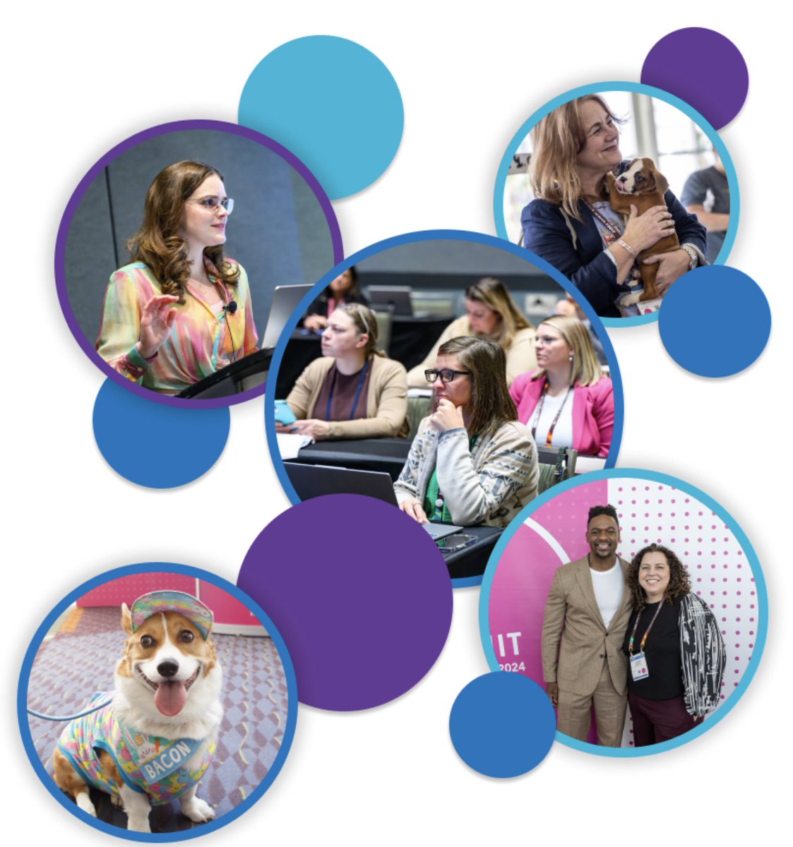 MPPTA - Meat & Poultry Processing TA tweet media