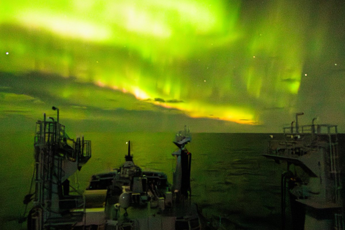 RFA Tidespring tweet media