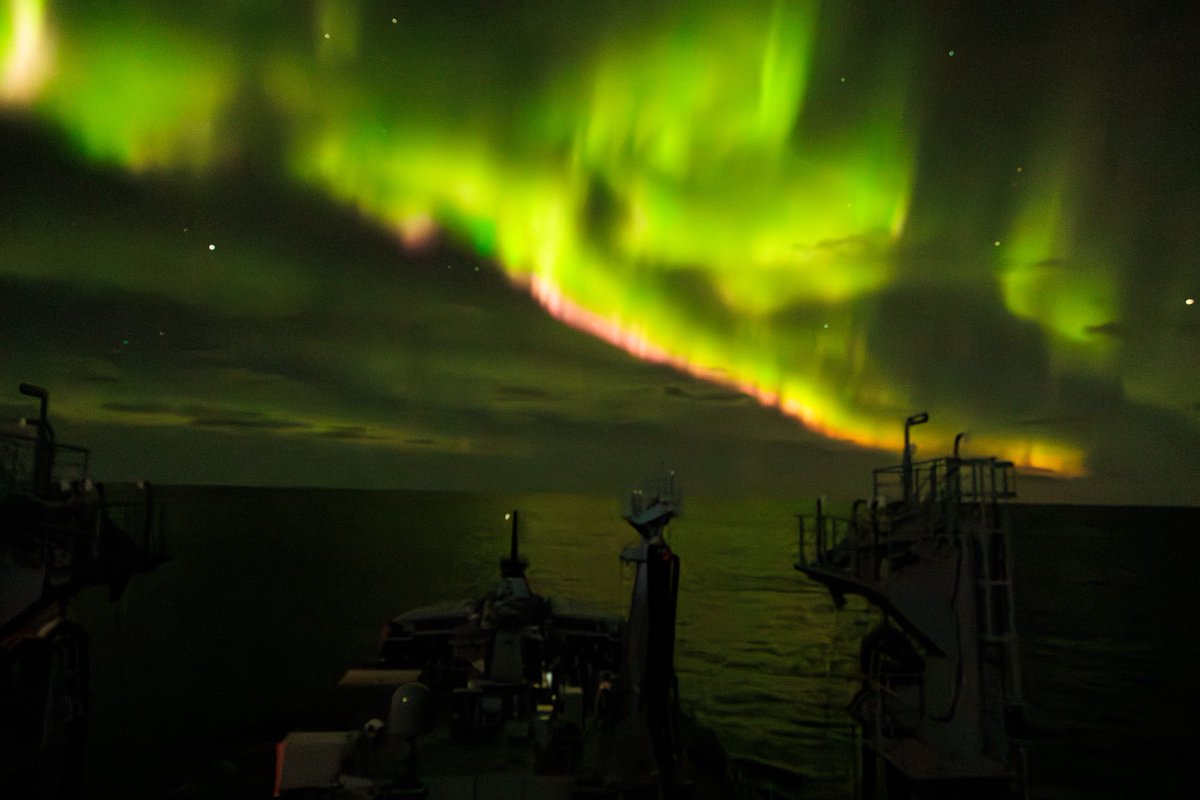 RFA Tidespring tweet media