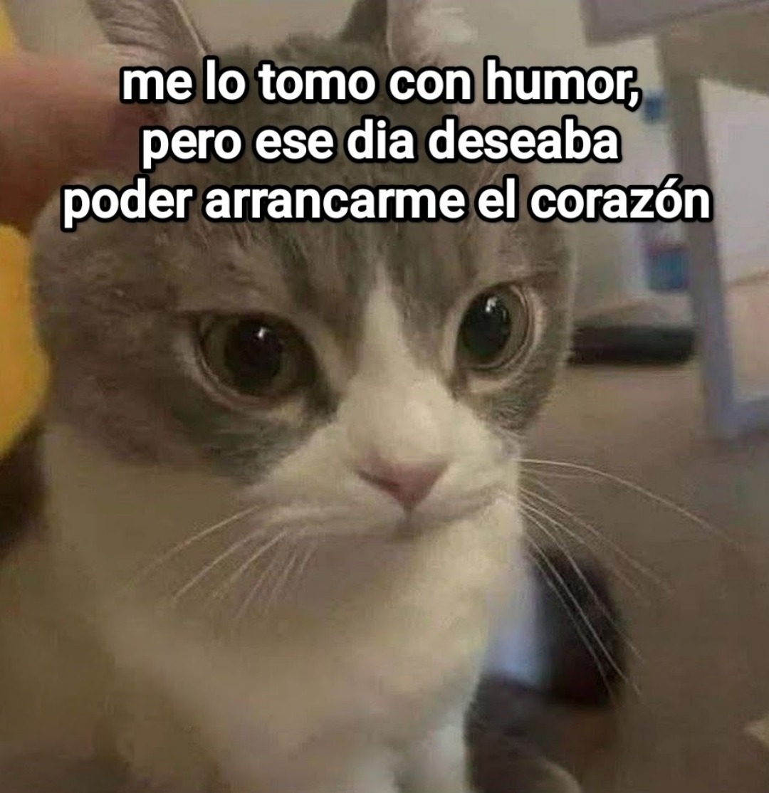 bauldefrases tweet media