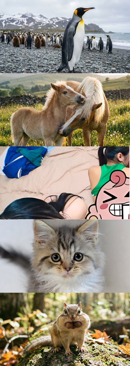 みぃらくん tweet media